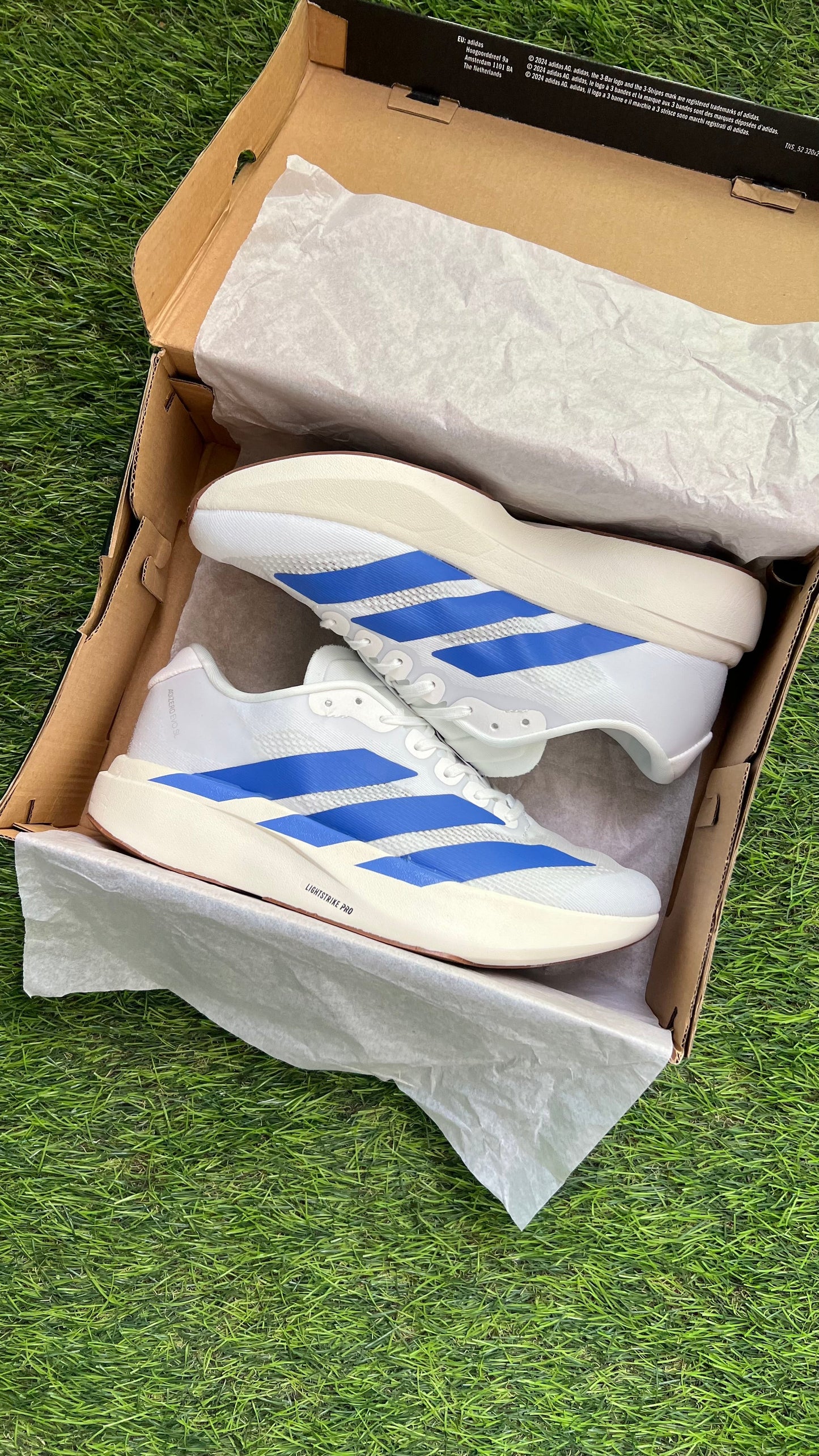 Adizero Evo SL "White Royal Blue"