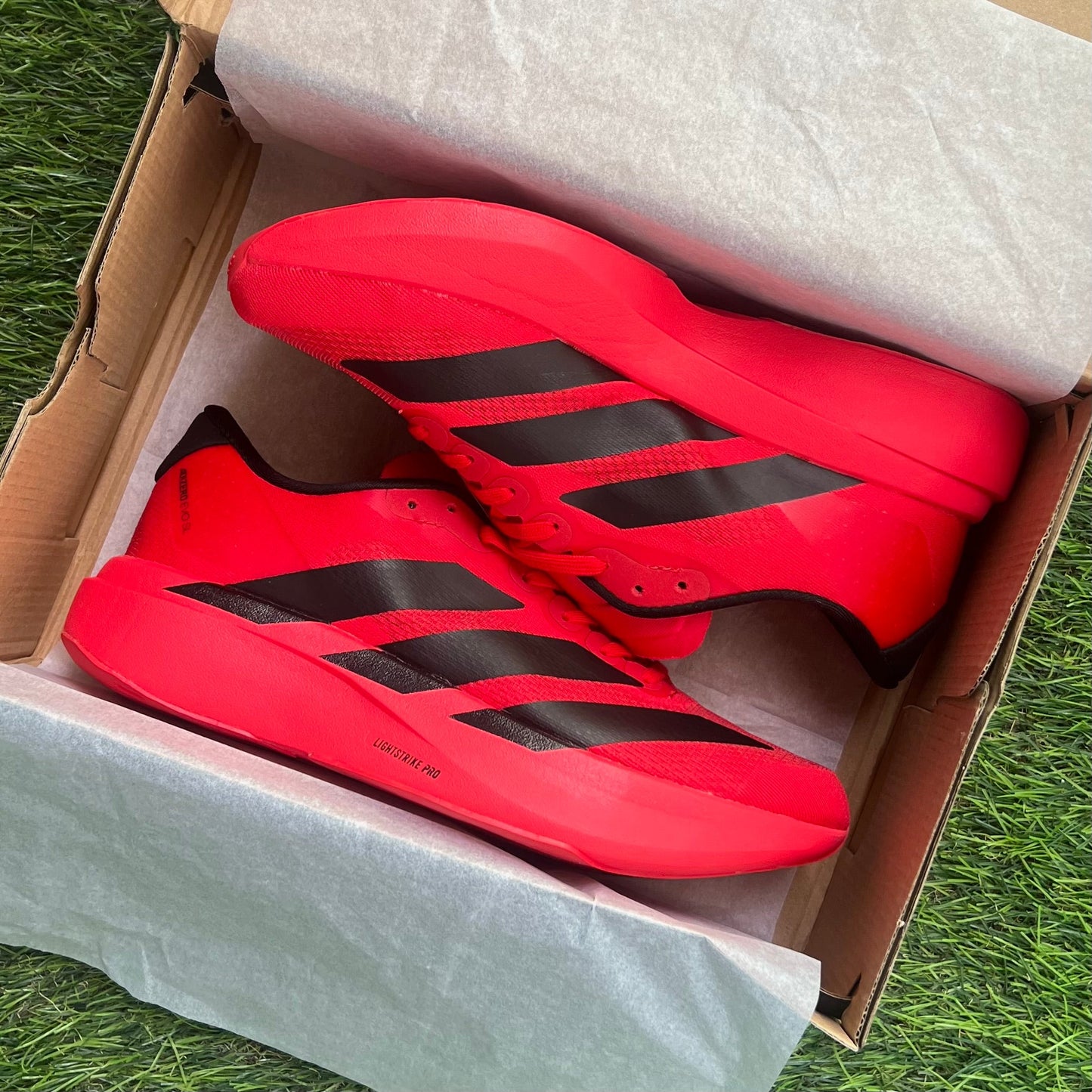 Adidas Adizero Evo SL “Lucid Red Black”
